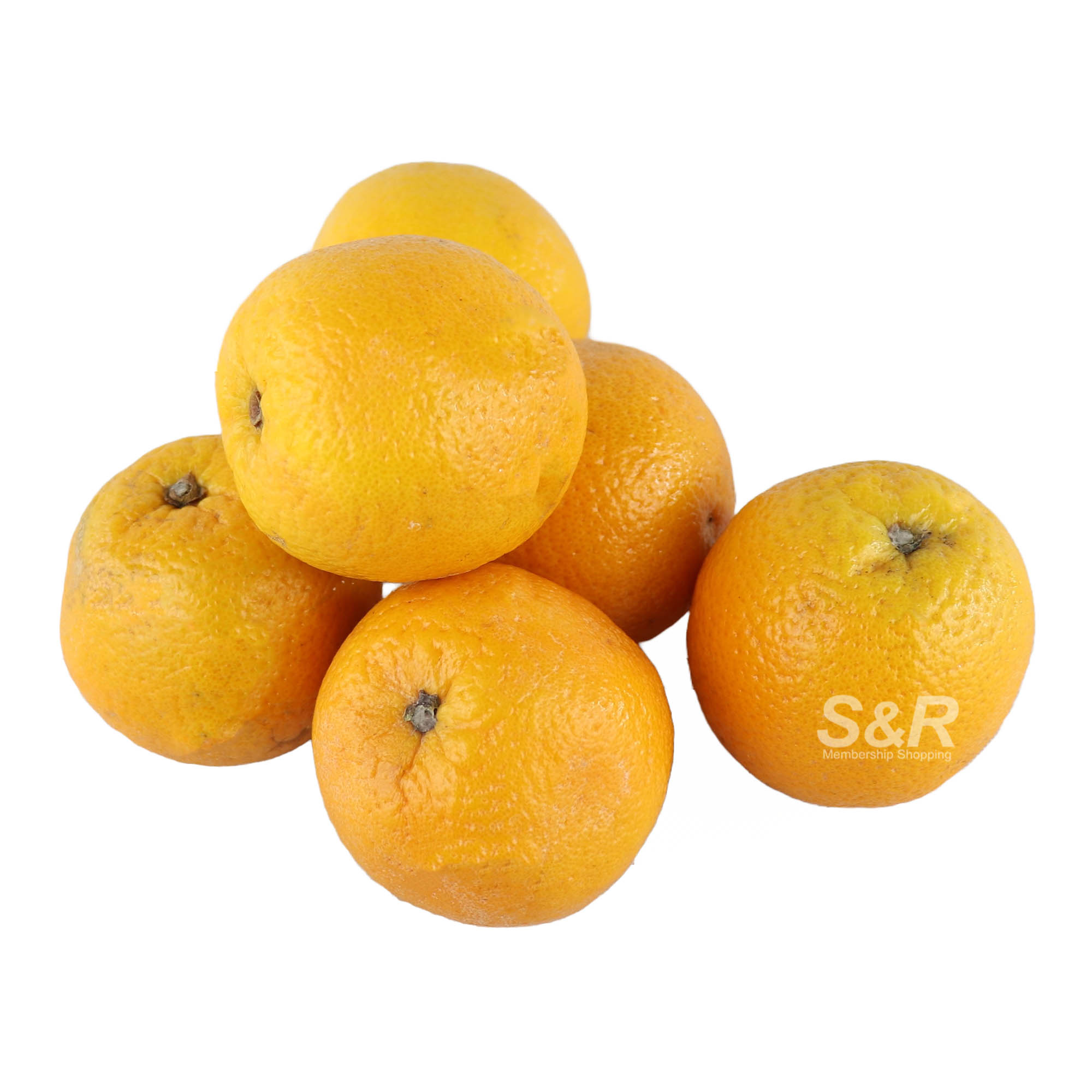 S&R #56 Valencia Orange 6pcs